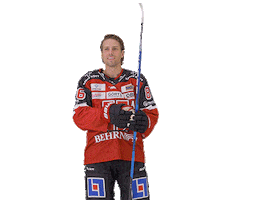 Hat Trick Celebration Sticker by Örebro Hockey