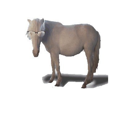 4 Elementos Sítio Escola Sticker