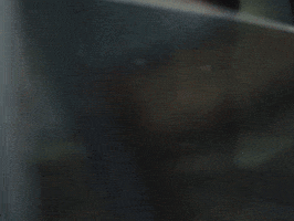 Black Violin GIF