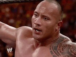 dwayne the rock johnson wrestling GIF by WWE