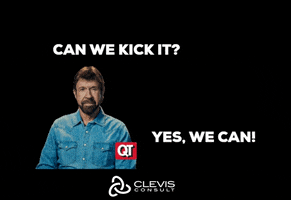 Chuck Norris Team GIF by CLEVIS