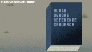 Dna Sequence Animation GIF by Massive Science