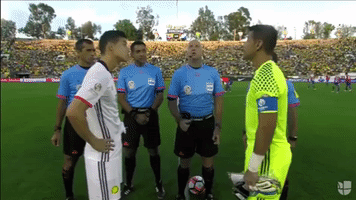 sportlifebet  GIF