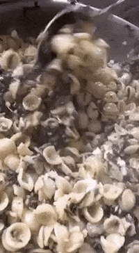 Paola x paesan GIF