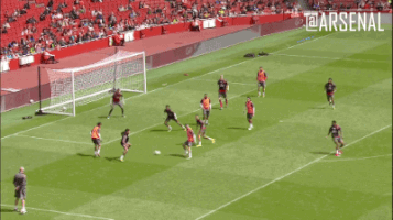 emirates stadium wow GIF by Arsenal