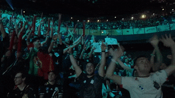 Fan Supporting GIF by G2 Esports