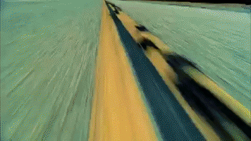 Lady Gaga Beyonce GIF by aficia 