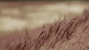 Hard Time Bible Verses About Perseverance GIF