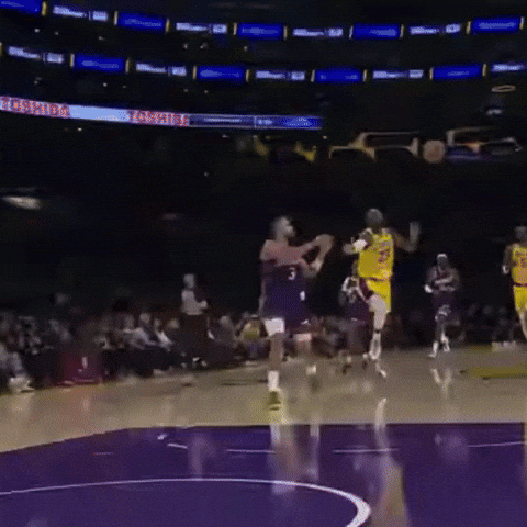 Lebron James Basketball GIF