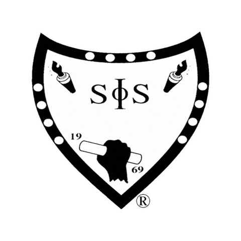 swingphiswing Sticker