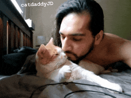 Good Morning Cat GIF by STAGEWOLF