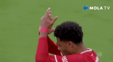 Bayern Munchen Clap GIF by MolaTV