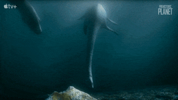 Deep Water Swimming GIF by Apple TV+