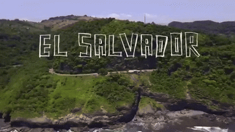 el salvador GIF by walter_