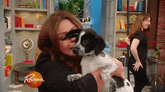 puppy love hug GIF by Rachael Ray Show