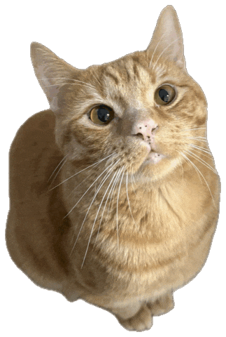 Sparkassensticker Sticker by Sparkasse