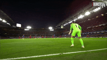 goal studge GIF by Liverpool FC