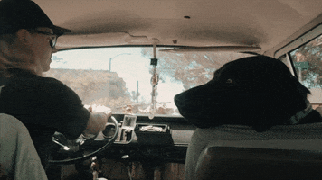 best friend dog GIF by Epitaph Records