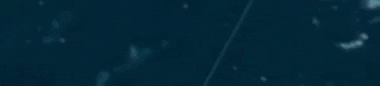 The Leiter Agency GIF