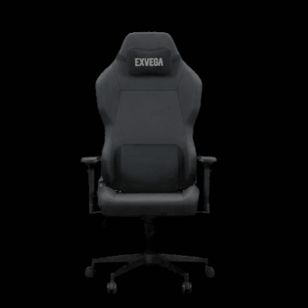 EXVEGA GIF