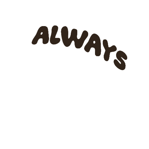 Austin Sticker by Bunkhouse Group