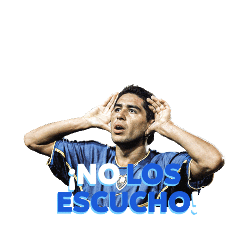 Idioma De Hincha Sticker by Copa América
