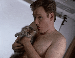 Sexy Cat GIF by Team Coco