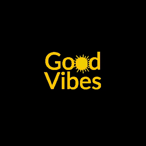 irmarketingdigital GIF