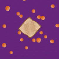 Cheese GIF by evite
