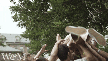 Celebration College GIF by William & Mary