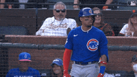 Chicago Cubs GIFs