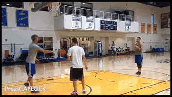 flamer nba stephen curry GIF