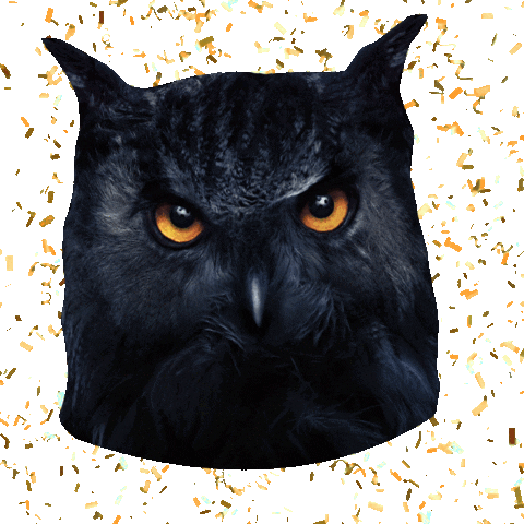 Sinebrychoff Sticker