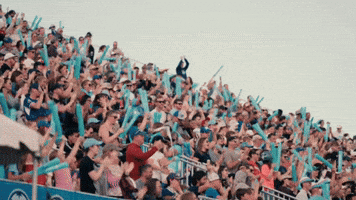 Fans Crowd GIF by Chicago Stars FC