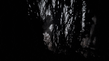 Comedy Akshaykumar GIF