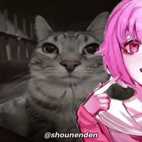 Cat GIF