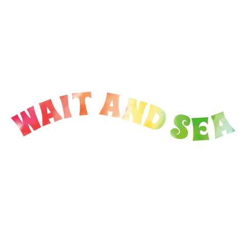 Hola surf GIF