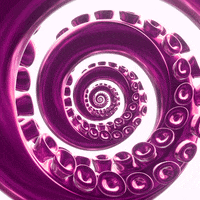 Octopus Spiral GIF by Feliks Tomasz Konczakowski