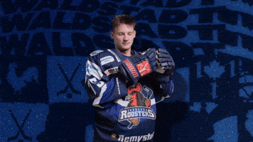 Celebration Hockey GIF by Iserlohn Roosters