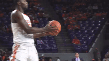aamirsimms GIF by Clemson Tigers