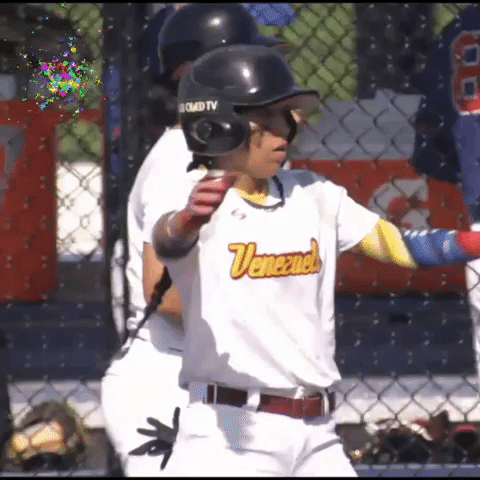 Fevebeisbol Womensbaseball GIF