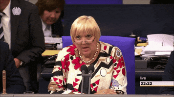 Angry Claudia Roth GIF by Social-Media-Redaktion Bundestag