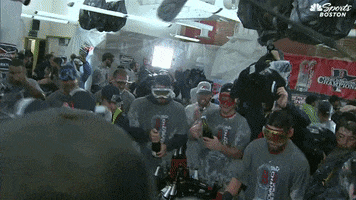 Red Sox Win GIF by NBC Sports Boston
