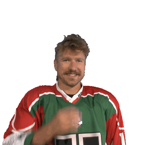 Anglet Hormadi Pays Basque Sticker