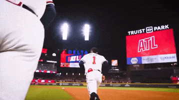 Braves GIF