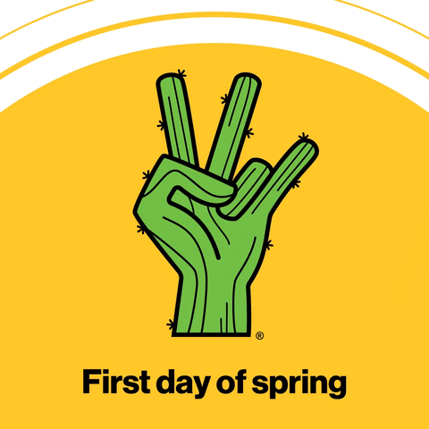 Flowers Spring GIF by Arizona State University