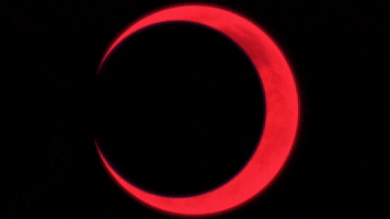 Ichigo Kurosaki Tybw GIF