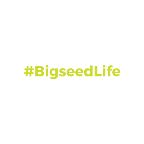 Bigseed Sticker