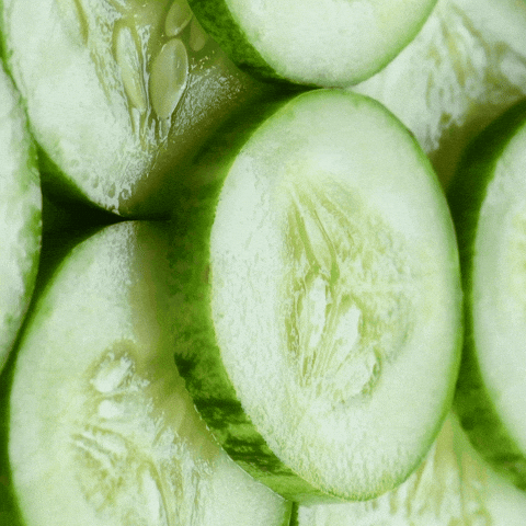 Weight Loss GIF by Just Healthy