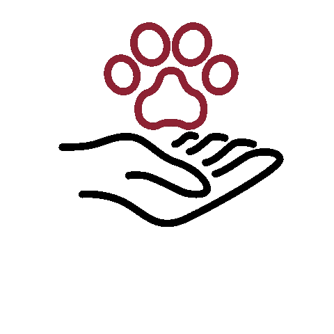 LeadERVET Sticker